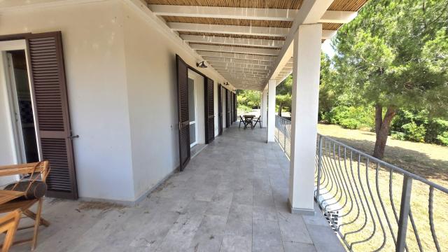 Villa Artistica
